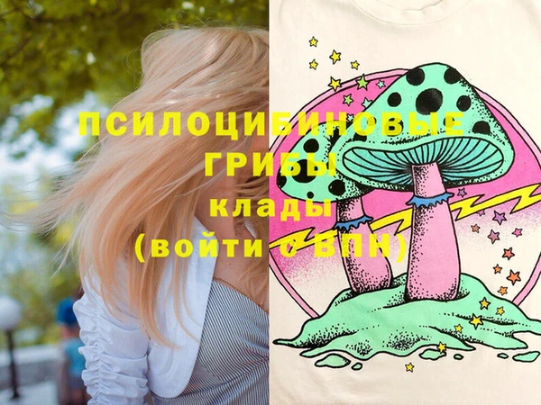 ECSTASY Лиски