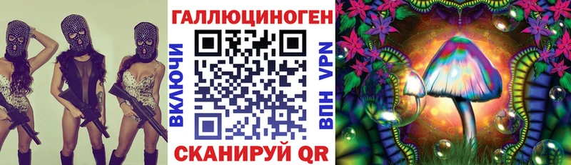 Псилоцибиновые грибы Magic Shrooms блэк спрут зеркало Александровск-Сахалинский продажа наркотиков